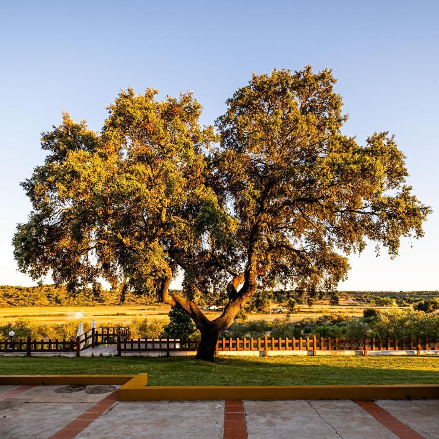 Monte Da Raposinha Enoturismo, Montargil Villa Esterno foto